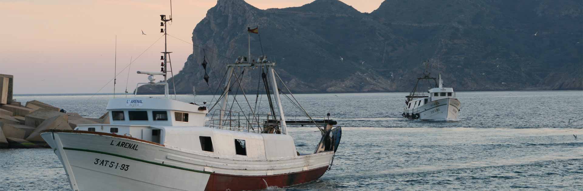 pescados molto